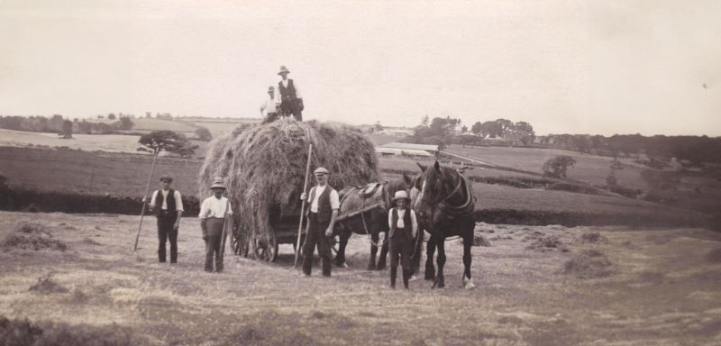 Farming Memories